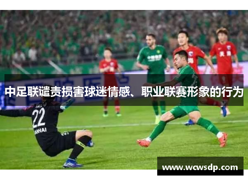 中足联谴责损害球迷情感、职业联赛形象的行为